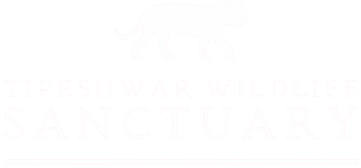 Tipeshwar Tiger Reserve and Wildlife Sanctuary